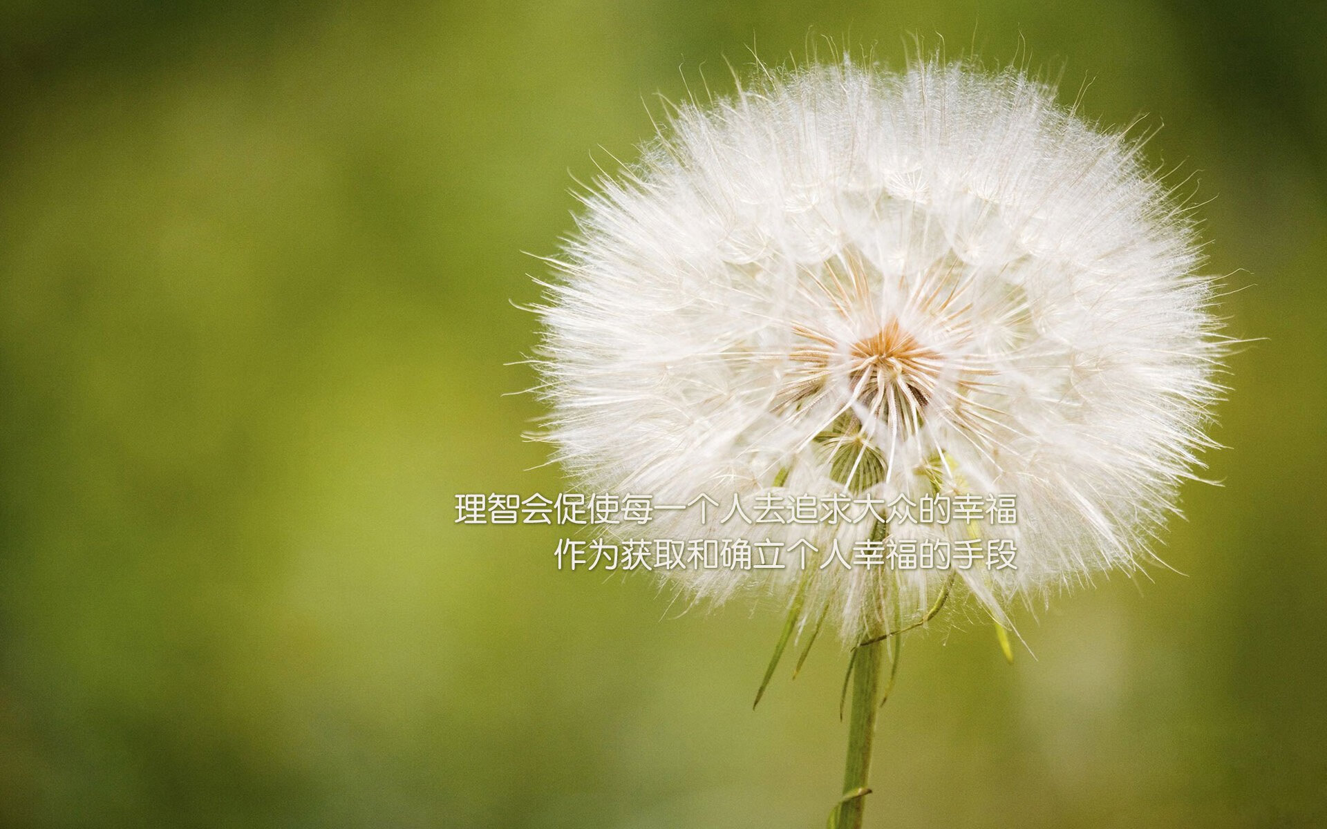 KAIYUNAPP-以科技助力中国篮球发展，探索智慧体育新时代，以科技助力中国篮球发展,探索智慧体育新时代