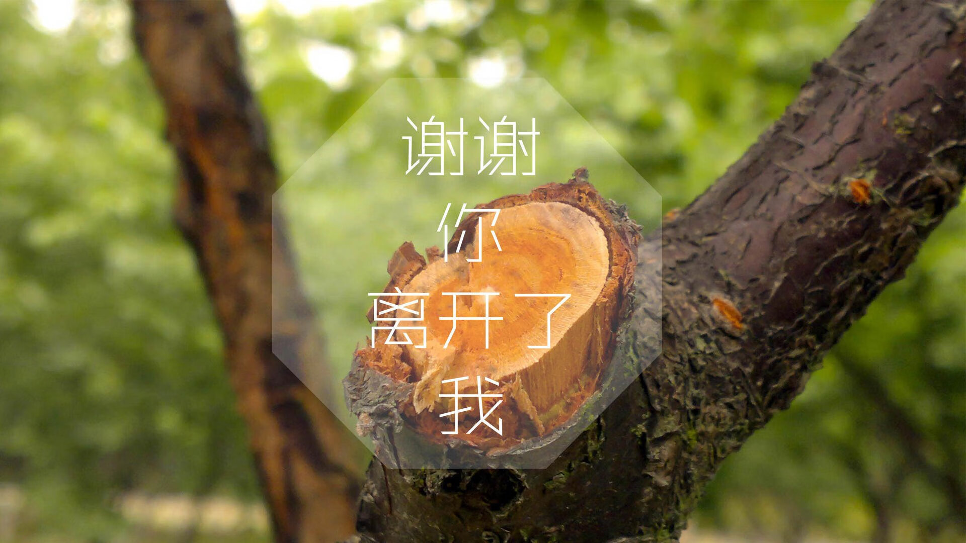 开云网页版登录入口-姆巴佩决赛表现失常成遗憾焦点，姆巴佩2021集锦